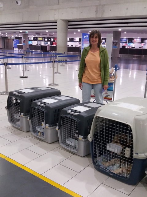 1 20180512 025254 001