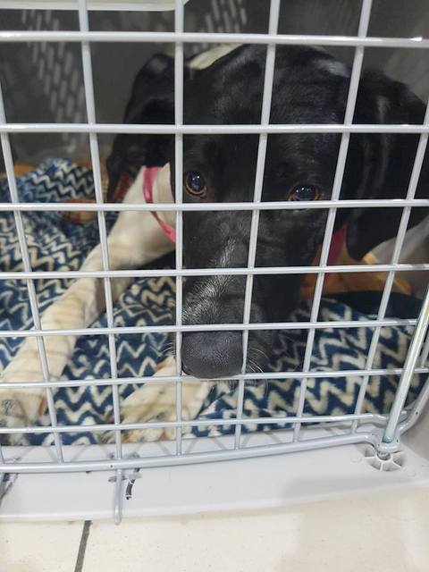 1 29177630 908128519348961 5170681114422935552 n