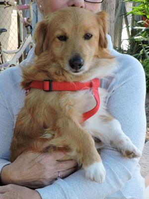 thumb Chase 7 Feb 2018 001