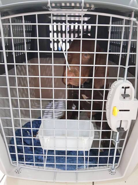 1 37077771 993339424161203 6444743528823128064 n