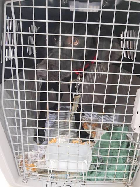 1 37161619 993339244161221 5587469018614202368 n