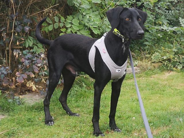 1 PHOTO2 2018 07 14 14 18 33