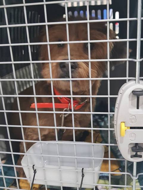 1 48077512 211085343106387 7646974247285293056 n