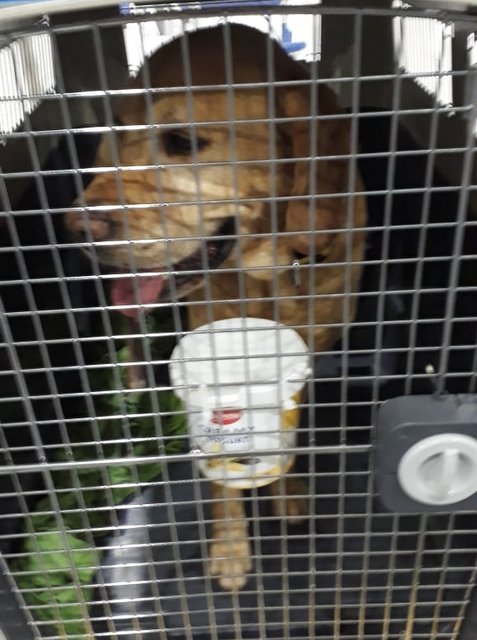 1 IMG 20181214 WA0001