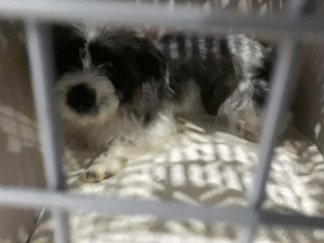 1 IMG 20181214 WA0003