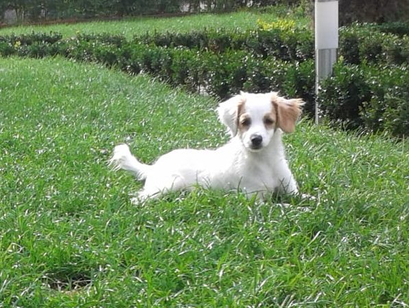 1 9PHOTO 2018 09 16 18 58 08