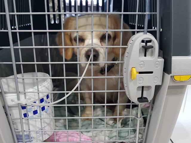 1 44136663 306917293466711 8389645887437012992 n