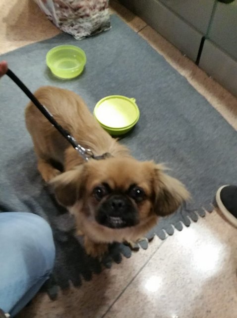 1 2PHOTO 2018 10 20 14 15 43