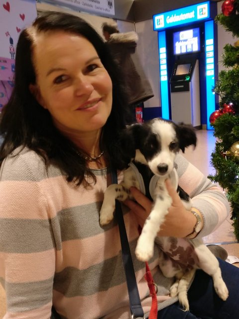 1 4PHOTO 2018 12 17 16 46 07