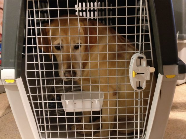 1 PHOTO 2018 12 17 16 46 07