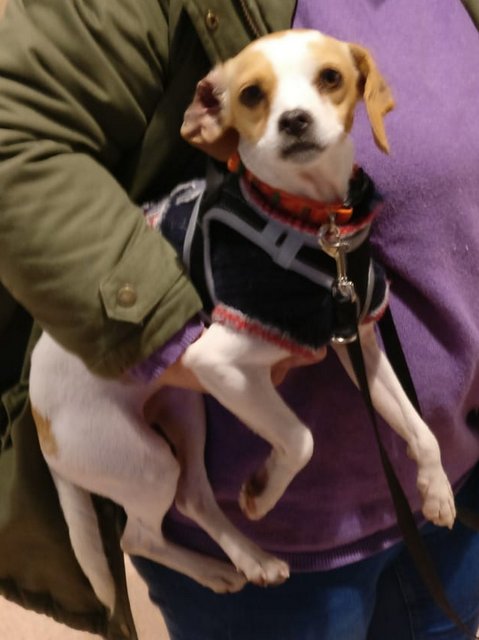 1 PHOTO 2018 12 17 16 46 08