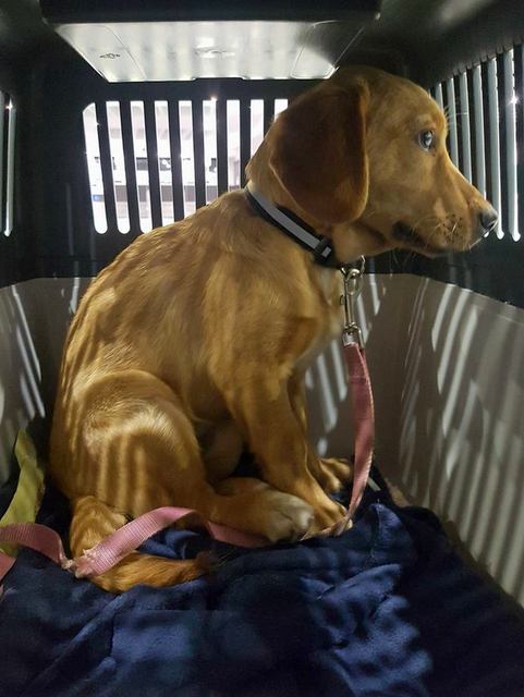 1 29313370 910287839133029 3918316621399064576 n