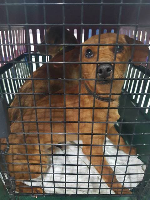 1 29365888 910287799133033 5763004168792965120 n