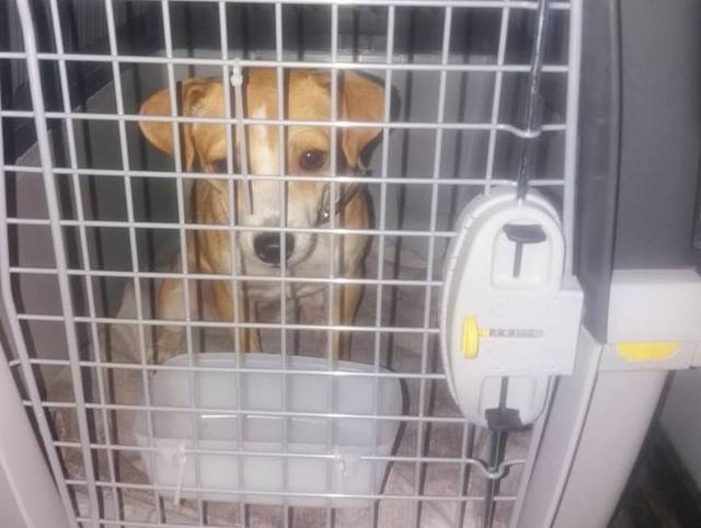 1 39304902 324168424990103 2451977712386965504 n