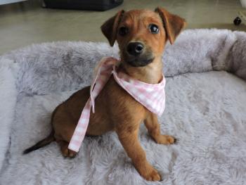 thumb Julia Photo 8 Oct 2018