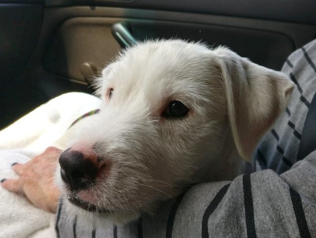 1 PHOTO 2018 05 19 12 00 13