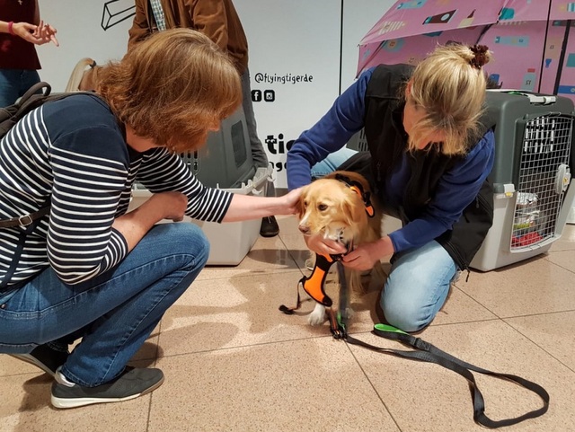 1 cid 17E628EF A620 416C B687 9B39FAE08123fritz