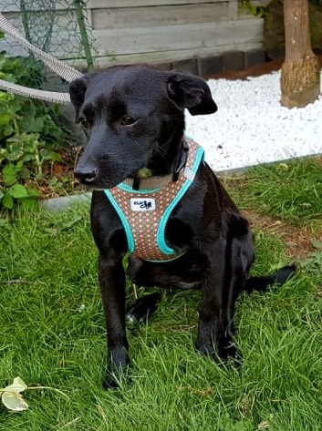 1 cid 7E58784B FF96 497D B85E A2045ED74C63fritz