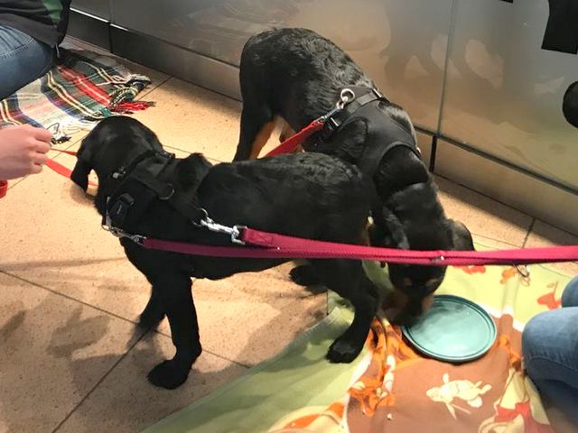 1 2018 04 23 PHOTO 00000203