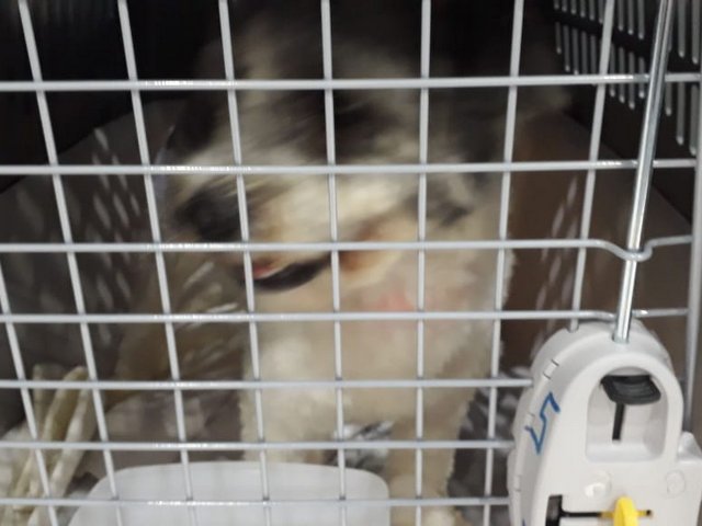 1 IMG 20180922 WA0005