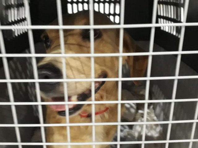 1 IMG 20180922 WA0006