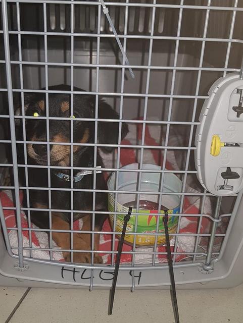 1 48396641 2140337559560443 6333117204246036480 n