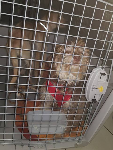 1 48421266 329864540940734 2270956488811872256 n