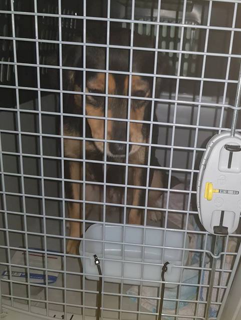 1 48423787 218185249061451 8527858991584247808 n