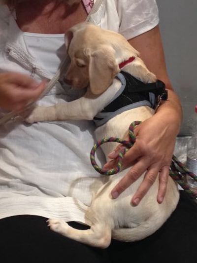 1 PHOTO6 2018 07 25 14 28 031