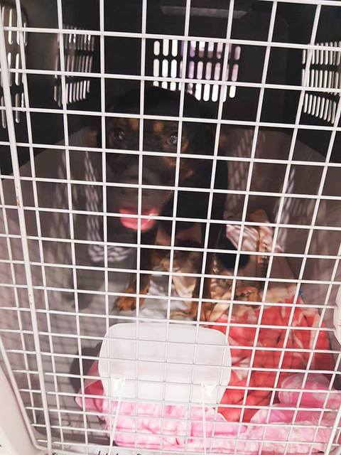 1 37938209 1008846572610488 7437668507992457216 n