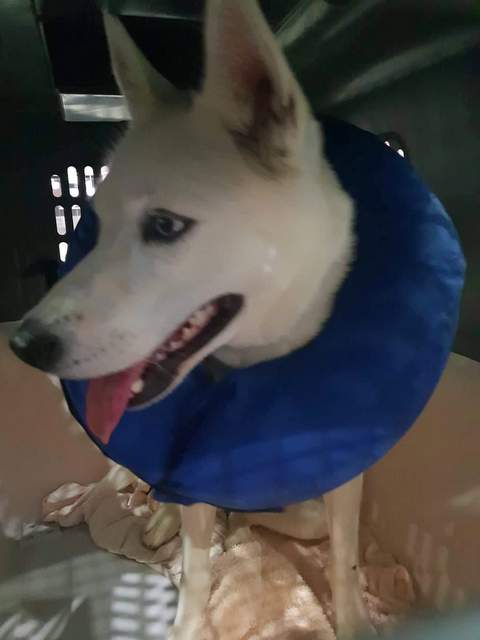 1 received 273147236677646