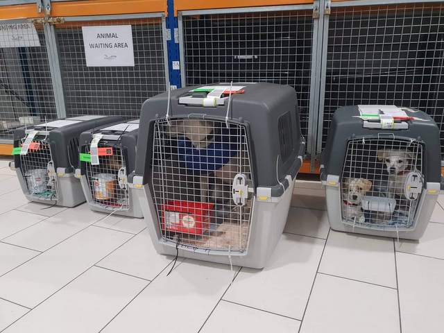 1 received 591074358002340