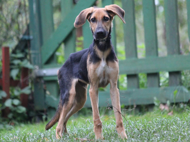 1 PHOTO 2018 09 27 18 57 22