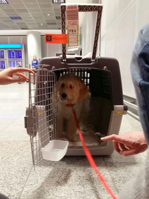 1 2018 04 01 PHOTO 00000071