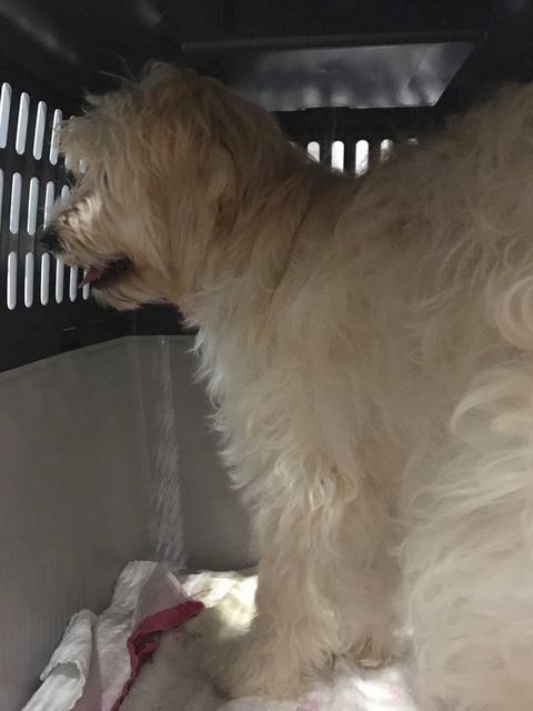 1 2018 04 01 PHOTO 00000072