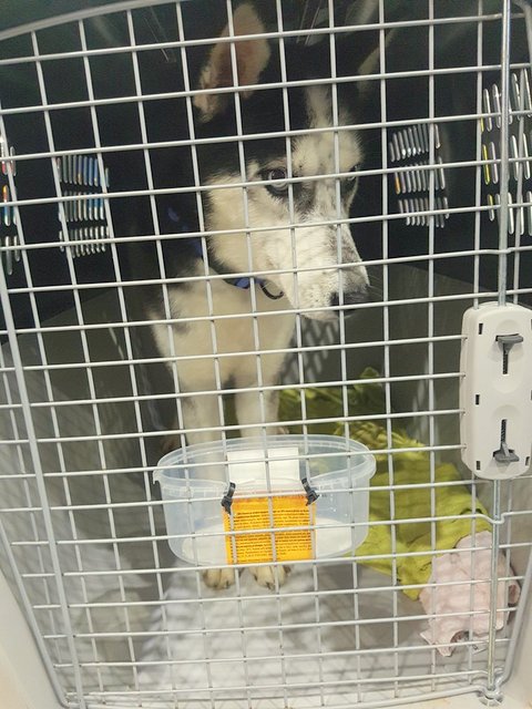 1 26794198 876350795860067 1925340005 n