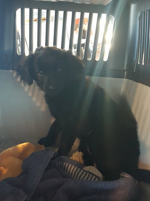 1 28381136 897677597060720 455284819 n