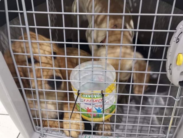 1 cid 16b78547a80f7f4bd2a1