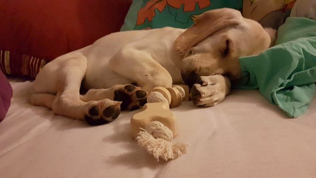 1 0397ffb7 1471 48bb 9c3c 64fc0b67d6c3