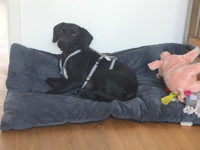 1 26c0c7bf 0914 426b 99f6 cd153c227bd1