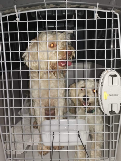 1 cid 16b11422f643ecc2e231