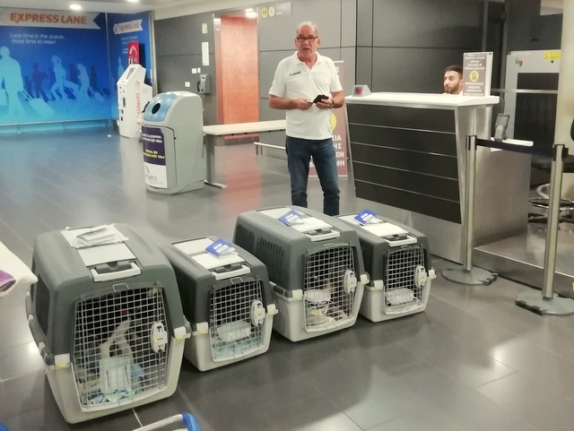 1 IMG 20190803 025848