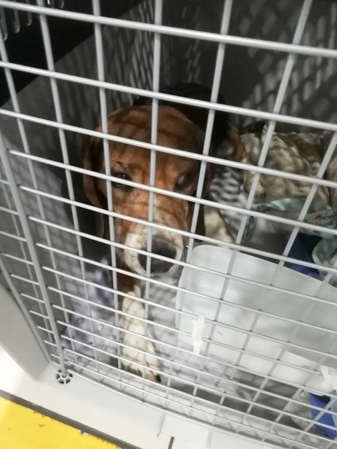 1 IMG 20190504 031005