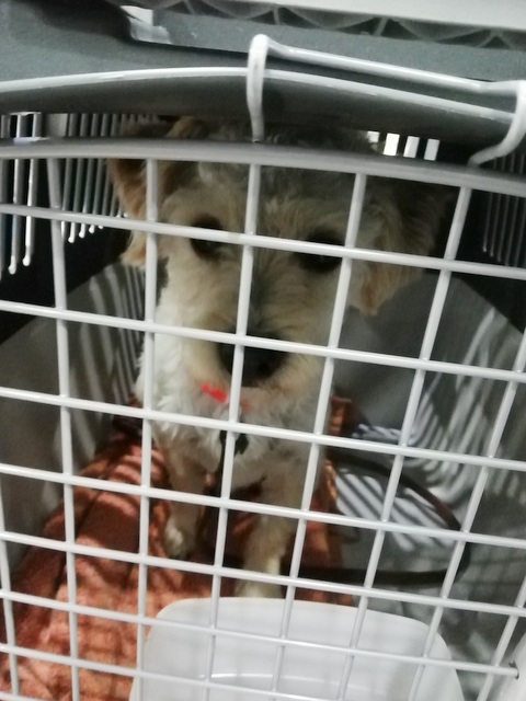 1 IMG 20190504 031127