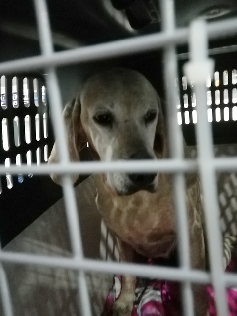 1 IMG 20190504 032926