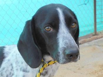 thumb 1 Findus 4 001