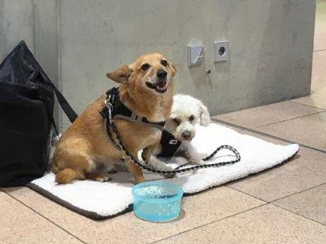 1 Warten am Flughafen