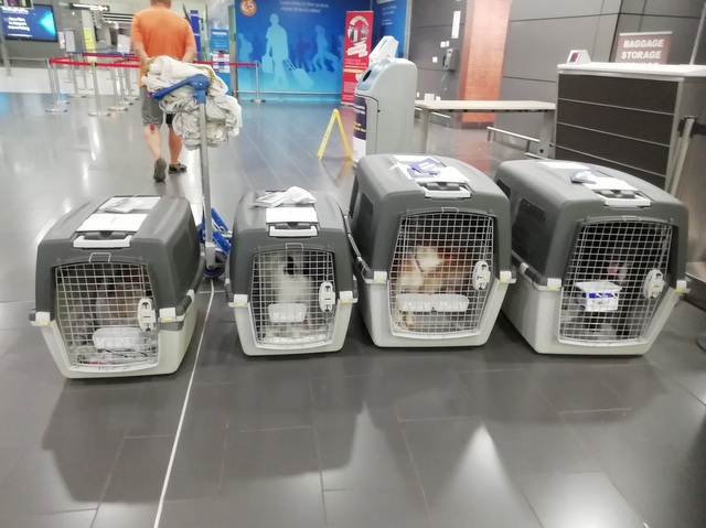 1 IMG 20190906 024912