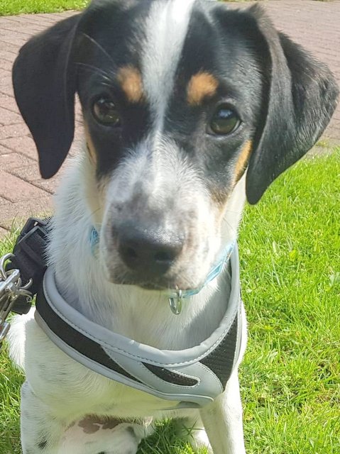 1 PHOTO2 2019 08 10 13 49 059