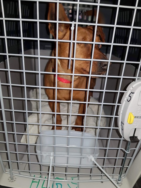 1 cid 16968acdfbbc77f7a324